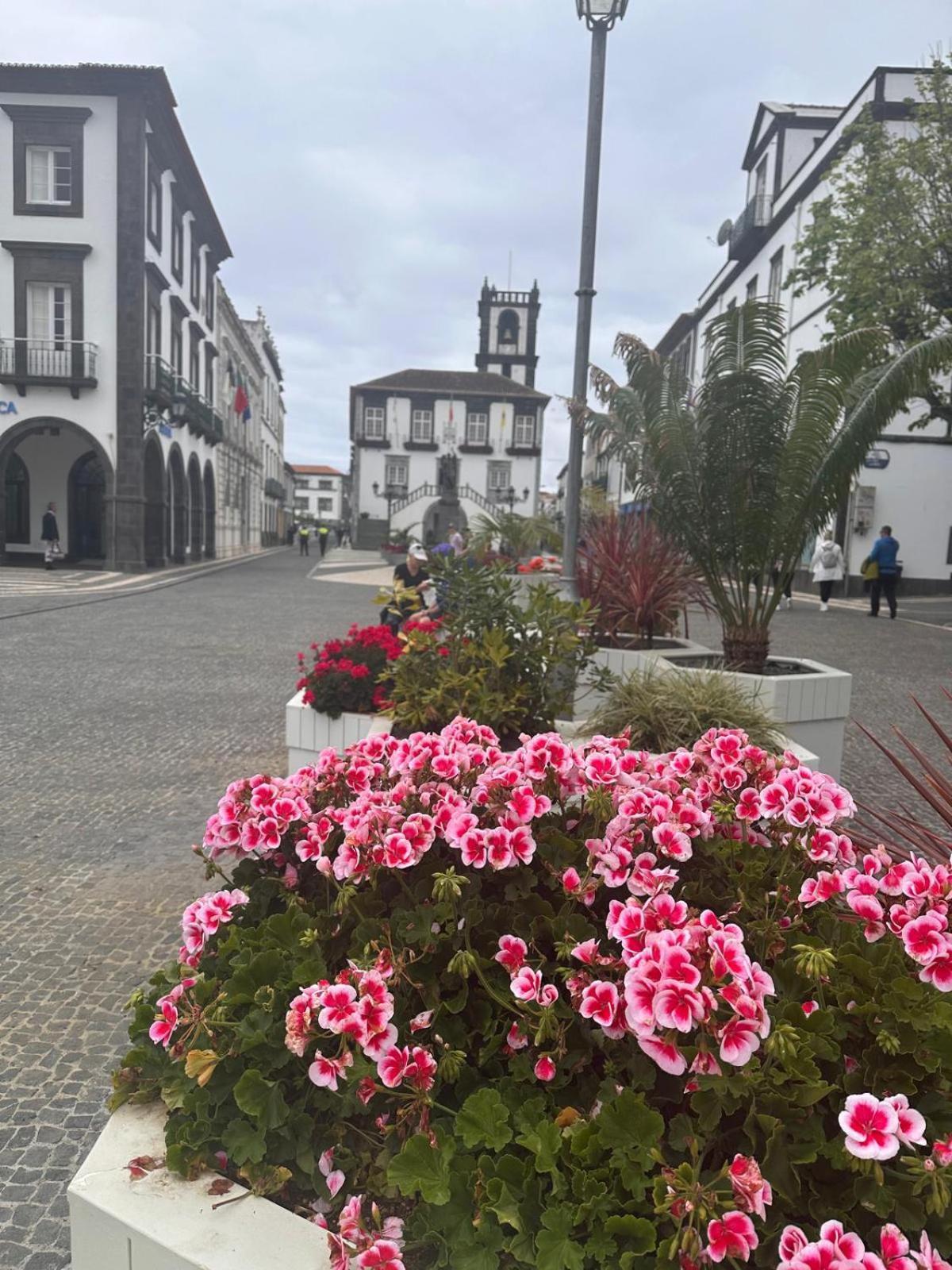 Azor International Apartment I Ponta Delgada  Ngoại thất bức ảnh