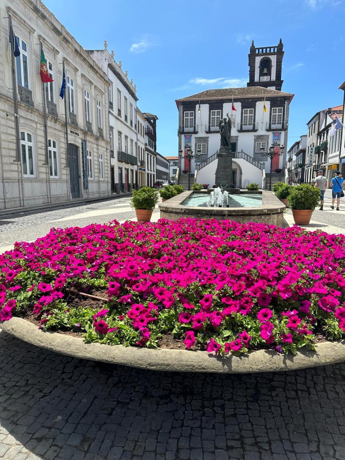 Azor International Apartment I Ponta Delgada  Ngoại thất bức ảnh